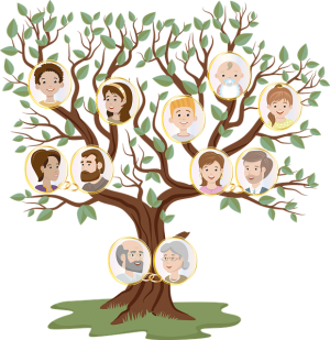 family-tree-6093805_640_Pixabay_1.png