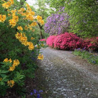 Mount_Congreve_Gardens_Co_Waterford_Web_Size_1_courtesy_Mount_Congreve_Gardens.jpg