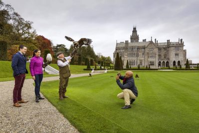 Delegates__learn_the_ancient_sport_of_Falconry_with_Secret_Escapes_Adare_Manor_Co_Limerick.jpg