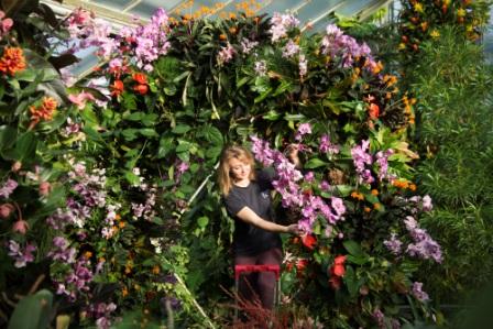 Kew_horticulturalist_Hannah_Button_in_orchid_arches._Kew_orchid_festival_2019._Credit_Jeff_Eden_-_Copy.jpg