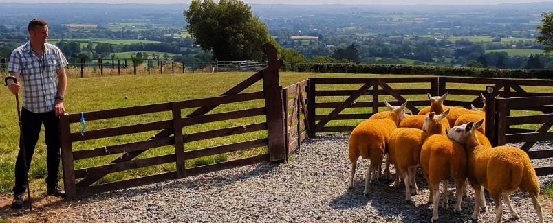 Glenshane Country Farm