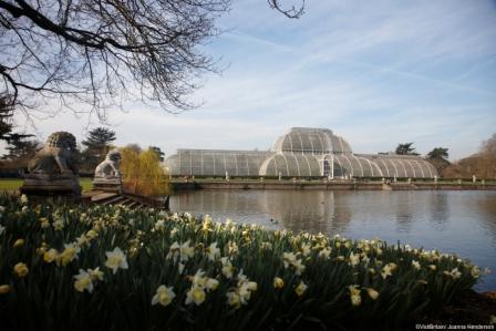 Kew_Gardens_c_VisitBritain-Joanna_Henderson_-_Copy.jpg