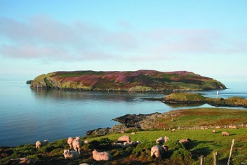 Calf_of_Man_c_visitisleofman.jpg