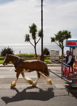 Horse_Drawn_Tram_Douglas_c_visitisleofman.jpg