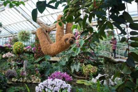 Sloth_in_carnival_of_animals_2._Kew_orchid_festival_2019._Credit_Jeff_Eden_-_Copy.jpg