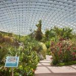 'One of Britain's most phenomenal gardens'