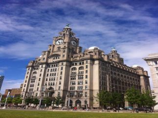 Liver_Building_2.1.jpg