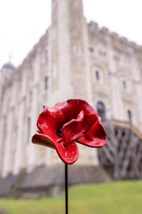 Poppy_and_White_Tower_c_Historic_Royal_Palaces_Imperial_War_Museums_-_Copy.jpg