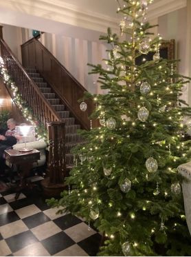 Portmeirion_Hotel_Christmas_Tree.jpg