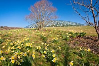 National_Botanic_Gardens_of_Wales_c._Crown_copyright_2006_all_rights_reserved.JPG