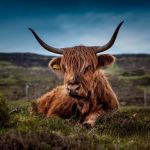 Ten unforgettable things to do in Scotland