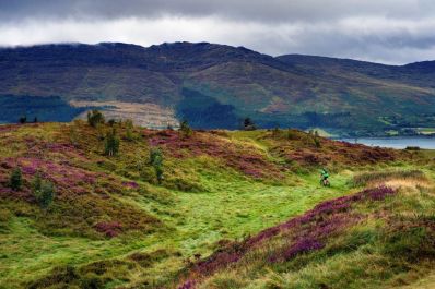 Rostrevor_Co._Down_-_Copy.jpg