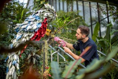 Orchids_2022._Alberto_Trinco_in_the_Princess_of_Wales_Conservatory._RBG_Kew._2_-_Copy.jpg