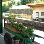 Dartmoor Line passenger railway begins again after 50 years