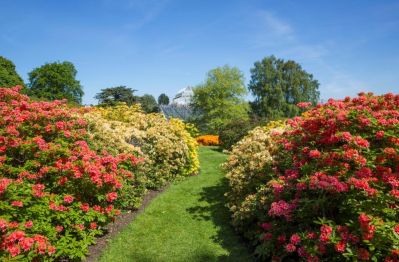 Royal_Botanic_Garden_Edinburgh_c_VisitScotland_-_Kenny_Lam.jpg