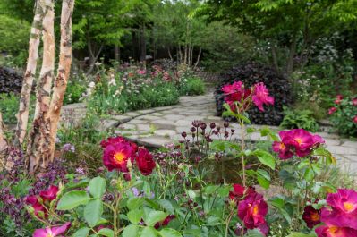The_Glasshouse_Garden._Designed_by_Jo_Thompson._credit_RHS_-_Neil_Hepworth.jpg