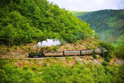 Vale_of_Rheidol_c_VisitWales_-_Copy.JPG