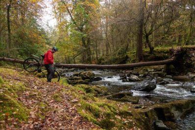 Luss1_13_Pauline_Guillouzic_Photography_-_Copy.jpg