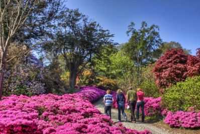 Mount_Congreve_Gardens_Co._Waterford_-_Copy.jpg