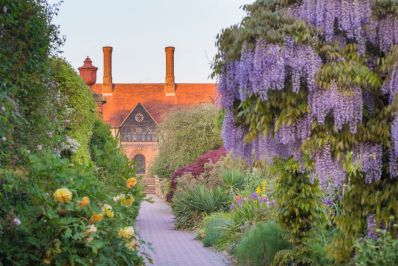 Wisteria_in_spring_c_RHS_Wisley_-_Joanna_Kossak.jpg