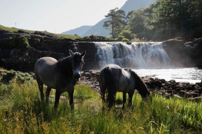 Connemara_Co_Galway_courtesy_Chaosheng_Zhang.jpg