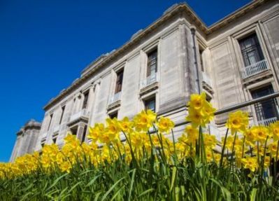 Daffodils_Library_-_Copy.jpg