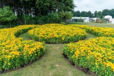 RHS_Sunshine_Field_at_RHS_Flower_Show_Tattion_Park_c_RHS_-_Tim_Sandall_-_Copy.jpg