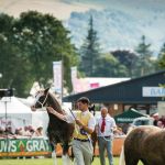 Virtual Royal Welsh Show to be broadcast around the world