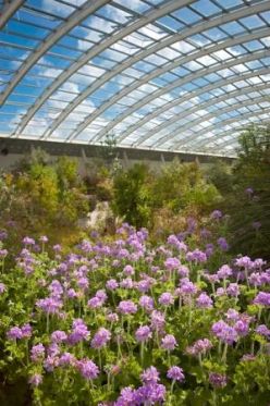 National_Botanic_Gardens_of_Wales_c._Crown_copyright_2011_Visit_Wales_all_rights_reserved_1.JPG