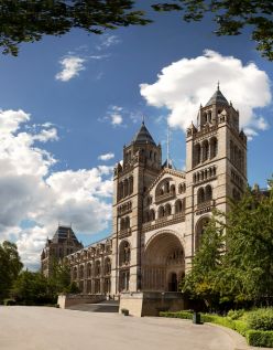 Natural_History_Museum_c_VisitBritain_-_Andrew_Pickett.jpg