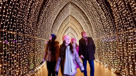 Hillsborough_Castle_Light_Trail_-_Winter_Cathedral_1_-_c_MyChristmasTrails_SonyMusic2022.jpg