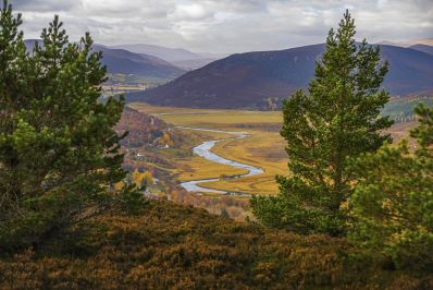 A_View_Towards_Braemar_c_VisitScotland_-_Jakob_Iwanicki.jpg
