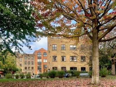 Autumn_leaves_in_Bermondsey_Spa_Gardens_meetmrlondoner..jpg