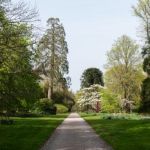 Autumn festival celebrates the splendour of Scotland's trees