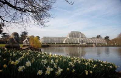 Kew_Gardens_c_VisitBritain_-_Joanna_Henderson.jpg