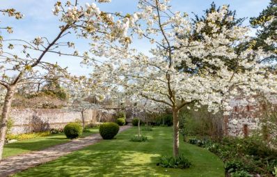 Cherry_blossom_at_Greys_Court_in_Oxfordshire._Credit_Hugh_Mothersole.jpg