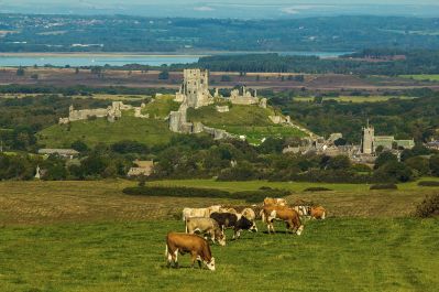 corfe-castle-998447_1280.jpg