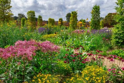 Paradise_Garden_2_RHS_Bridgewater_c_RHS_-_Neil_Hepworth.jpg