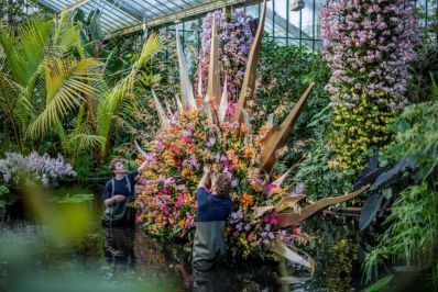 Orchids_2022._Kew_Horticulturists_at_work._RBG_Kew._2_-_Copy.jpg