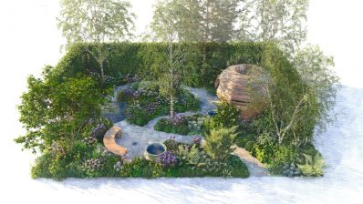 Downs_Syndrome_Scotland_Garden_designed_by_Nick_Burton_and_Duncan_Hall_credit_RHS_-_Nick_Burton_and_Duncan_Hall.jpg