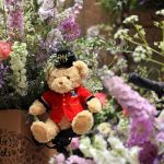 Gardens with a twist at RHS Chelsea Flower Show 2024