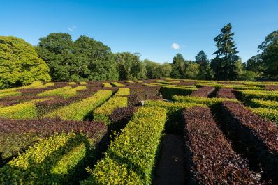 Murray_Star_Maze_Scone_Palace_c_VisitScotland_-_Kenny_Lam.jpg