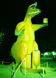 pic-1-THE-BIG-KANGAROO.jpg