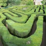 Britain's most amazing garden mazes