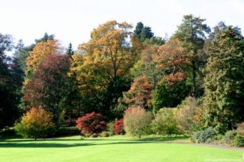 Autumn_Trees_Batsford_Arboretum_c_Visit_England_-Batsford_Arboretum.jpg