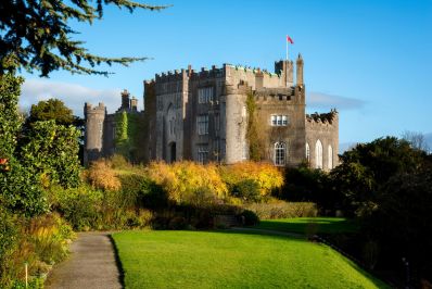 Birr_Castle_Demesne_Birr_Co_Offaly_TI71AXS_c_courtesy_Chris_Hill.jpg