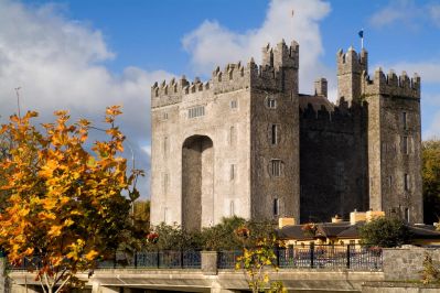 Bunratty_Castle_Co._Clare_TI72L3W_c_Chris_Hill_Photographic.jpg