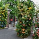 Nurturing nature at RHS Chelsea Flower Show 2026