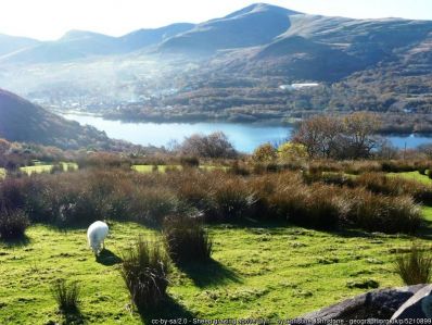 Llyn_Padarn_Geograph.jpg