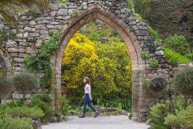 Tresco_Abbey_Gardens_-_Copy.jpg